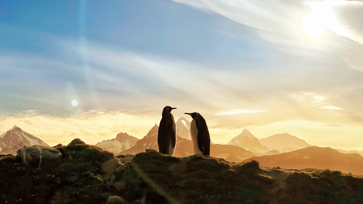 iFixit 拆解 2020 款 MacBook Air:键盘看点多 iFixit 拆解 2020 款 MacBook Air:键盘看点多