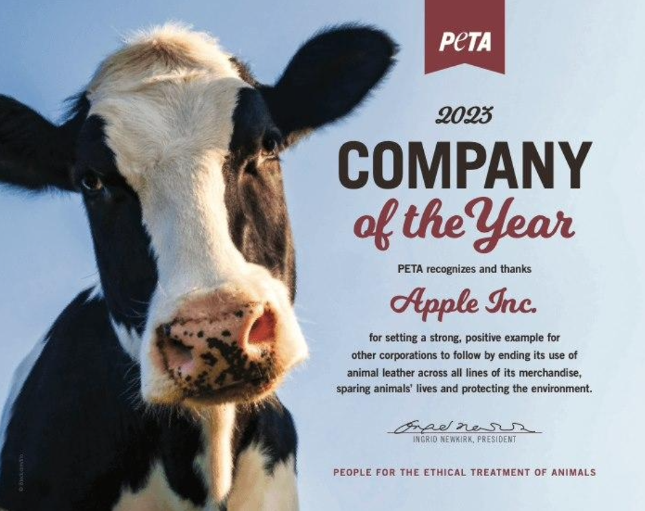 外媒汇总苹果 iPhone 16 Pro 系列机型的 30 项改进和变化 外媒汇总苹果 iPhone 16 Pro 系列机型的 30 项改进和变化