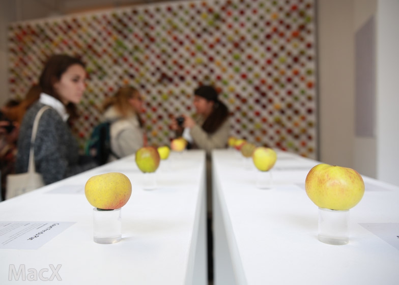 iPhone使用寿命不断延长,苹果是喜是忧? iPhone使用寿命不断延长,苹果是喜是忧?