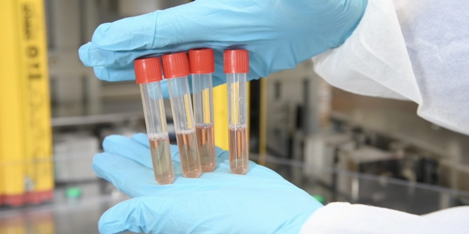 如果这个世界没有苹果将会是怎样?