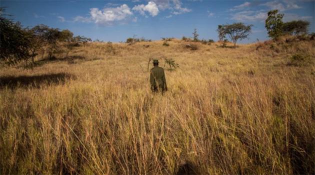 曾发明 iPhone 多点触控屏幕和 Touch ID 的苹果副总裁 Steve Hotelling 退休 曾发明 iPhone 多点触控屏幕和 Touch ID 的苹果副总裁 Steve Hotelling 退休