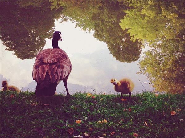 快充技术标准将统一,iPhone 手机USB Type-C 接口何时来? 快充技术标准将统一,iPhone 手机USB Type-C 接口何时来?