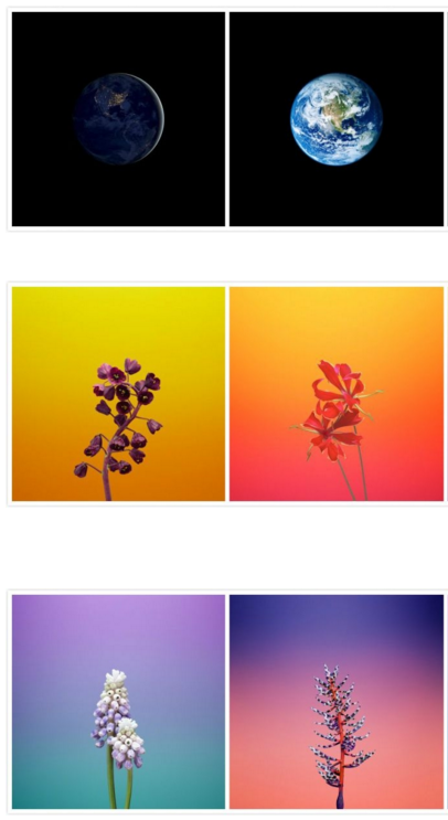 其他国家和地区的苹果官网通知 Apple Store 已关闭 其他国家和地区的苹果官网通知 Apple Store 已关闭