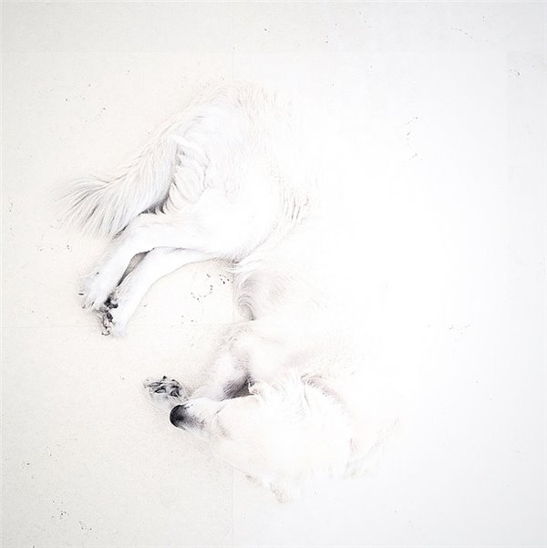 iPhone有哪些方面远不如国产手机? iPhone有哪些方面远不如国产手机?