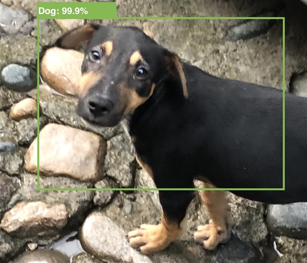 iPhone 12 使用 MagSafe 钱包时,无法进行无线充电 iPhone 12 使用 MagSafe 钱包时,无法进行无线充电