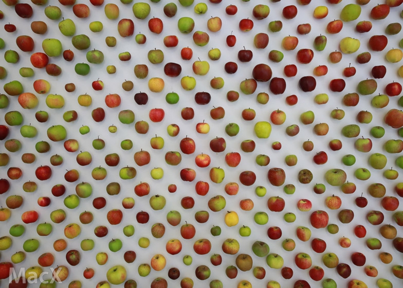 研究机构:苹果 iPhone 13 Pro/Max 最保值,13 mini 较差 研究机构:苹果 iPhone 13 Pro/Max 最保值,13 mini 较差