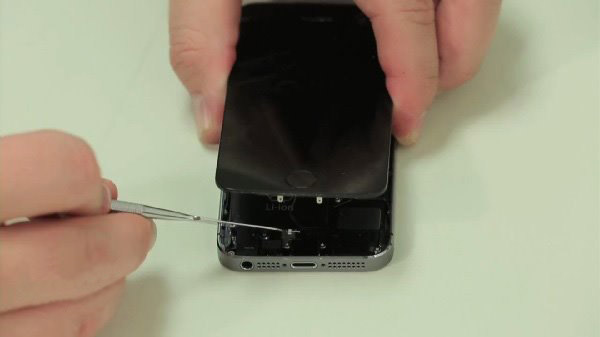 Apple Fitness+ 新增“是时候走路了”课程 Apple Fitness+ 新增“是时候走路了”课程