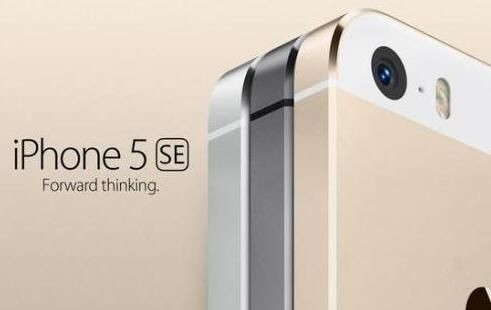 外媒:iPhone 11 Pro Max 与 Galaxy Note 10+ 拍照对比 外媒:iPhone 11 Pro Max 与 Galaxy Note 10+ 拍照对比