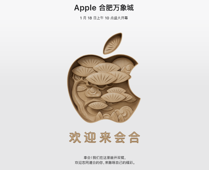 每次都有惊喜!这次是木质iPhone保护壳 每次都有惊喜!这次是木质iPhone保护壳